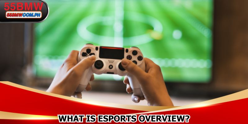 What is eSports Overview?